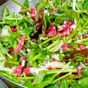 능동미나리 사진