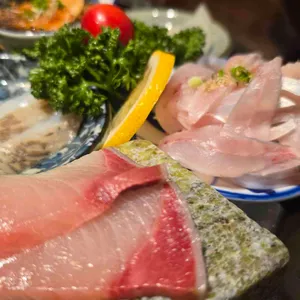 남해물고기 사진