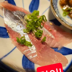 남해물고기 사진