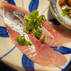 남해물고기 사진