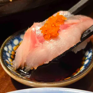 남해물고기 사진