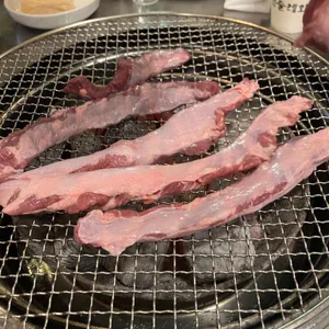 민들레화로 사진