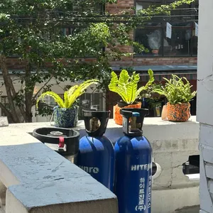 GTS 포레스트 리뷰 사진