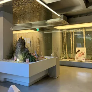 폴인레미유 리뷰 사진