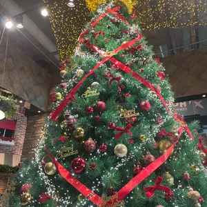 홀리 크로스 사진 1