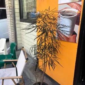 애드앤드 리뷰 사진