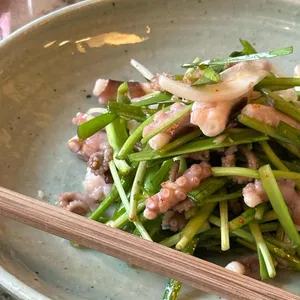 Gaga bar 대표 사진