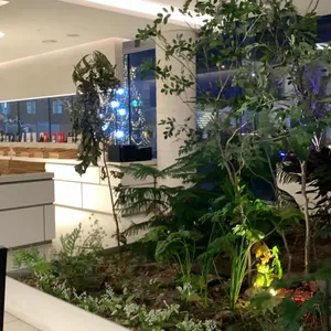 아나키아 리뷰 사진