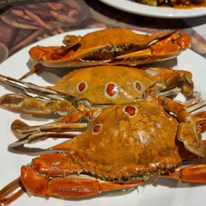 고메스퀘어 사진