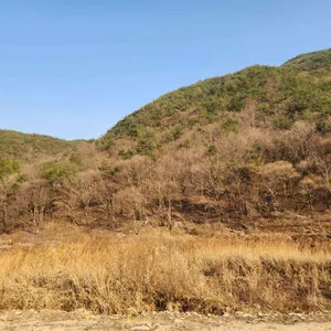 카페서들 리뷰 사진