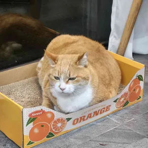 카페하루 리뷰 사진