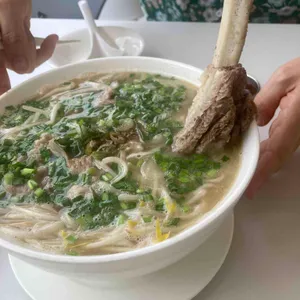 포레스트 오늘숲 사진