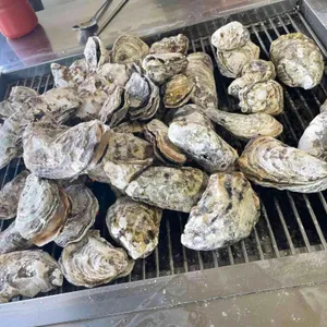 정우굴구이 리뷰 사진