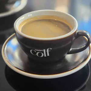 콜프로스터스 사진