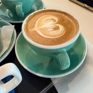 콜프 로스터스 대표 사진