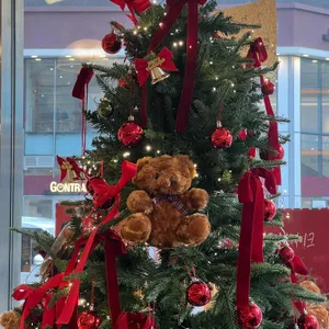 소굴속 리뷰 사진