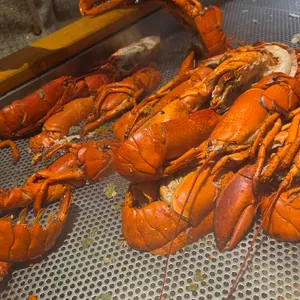 웨스틴 조선 서울 아리아 리뷰 사진