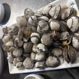 해뜰날 리뷰 사진