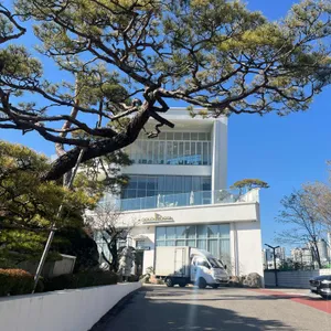 골드헤겔 리뷰 사진