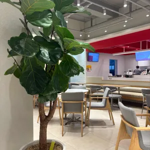 할리스 리뷰 사진