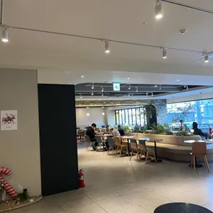 할리스 리뷰 사진