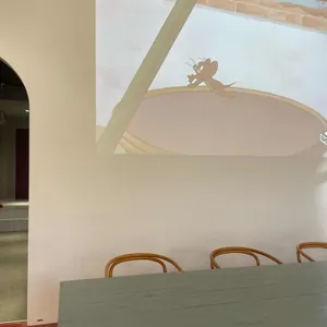 템스커피 리뷰 사진