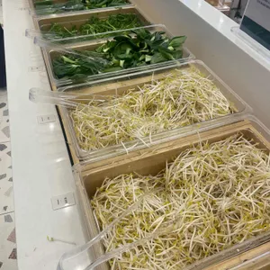 샤브올데이 대표 사진