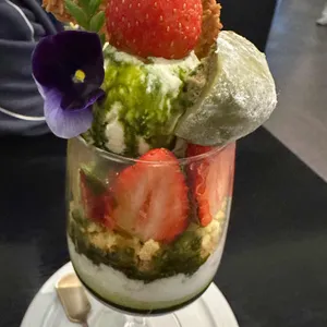 티소하 리뷰 사진