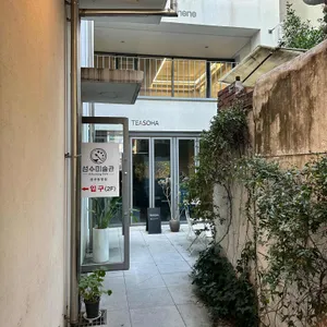 티소하 리뷰 사진