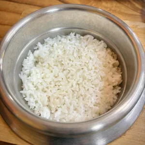 굴축제 대표 사진