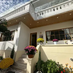 비노보노 리뷰 사진