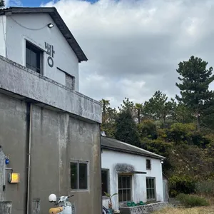 볼스 카페 리뷰 사진