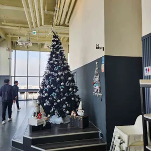 플레져 리뷰 사진