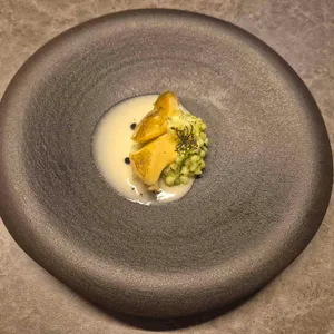 고우가 리뷰 사진