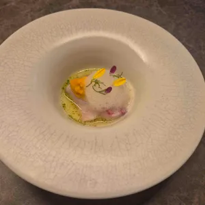 고우가 리뷰 사진