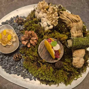 고우가 리뷰 사진