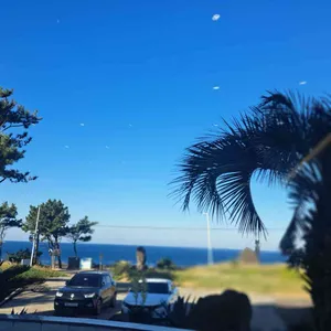 애월 브런치오 리뷰 사진