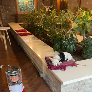 두낫디스터브 리뷰 사진