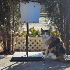 리베르테 리뷰 사진