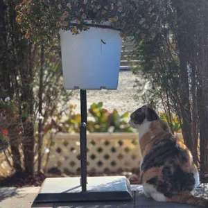 리베르테 리뷰 사진