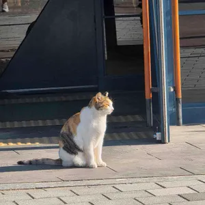 리베르테 리뷰 사진