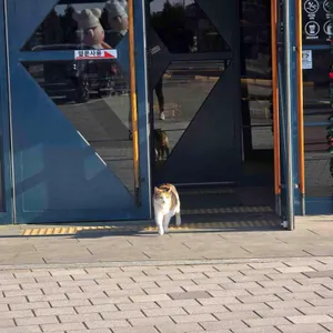 리베르테 리뷰 사진