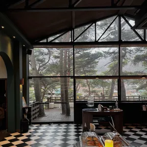 트리팜 리뷰 사진