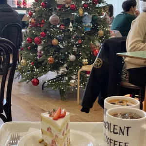 사일런트 대표 사진