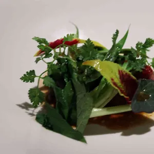 모수 리뷰 사진