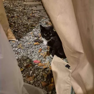 베이스캠프 리뷰 사진