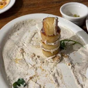 새들브라운 사진