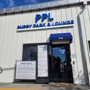 피피엘 대표 사진