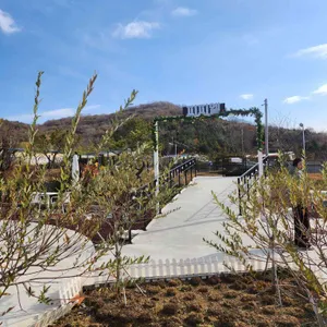 피피엘 대표 사진