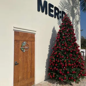 카페 메르디 리뷰 사진